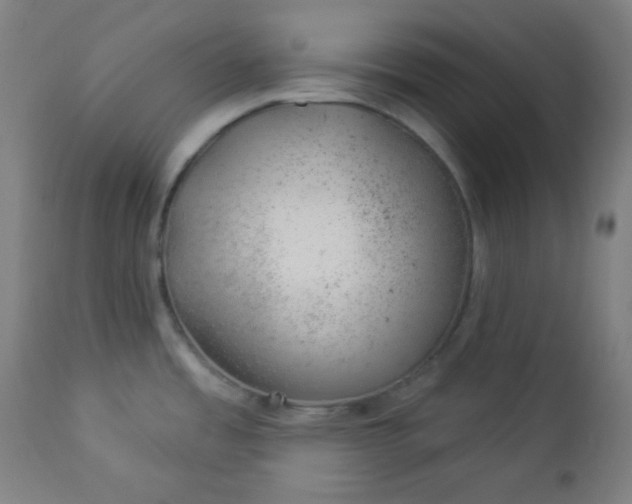 X0000112921485200909080922