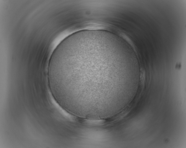 X0000112921487200909080922