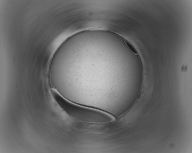 X0000112921488200909080922