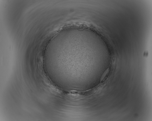 X0000112921489200909080921