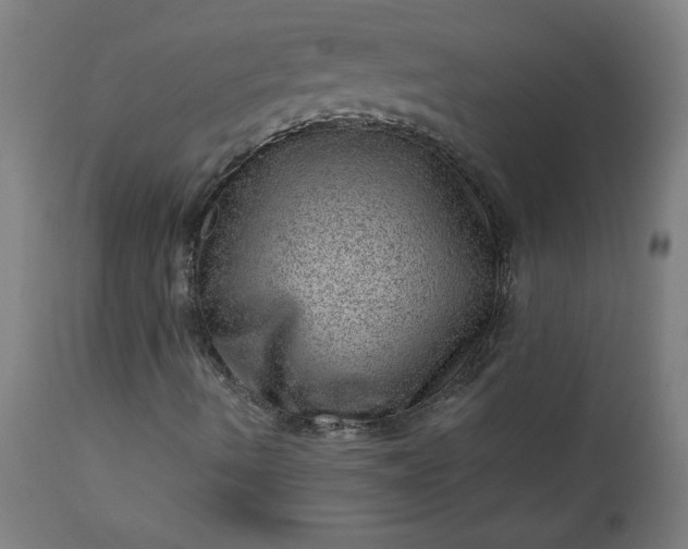 X0000112921490200909080921