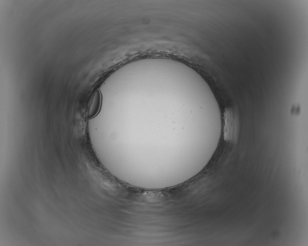 X0000112921491200909080921