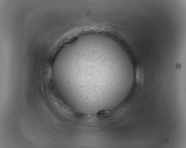 X0000112921492200909080921
