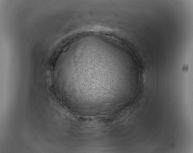 X0000112921493200909080921