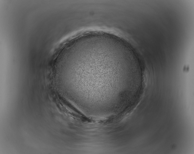 X0000112921494200909080921
