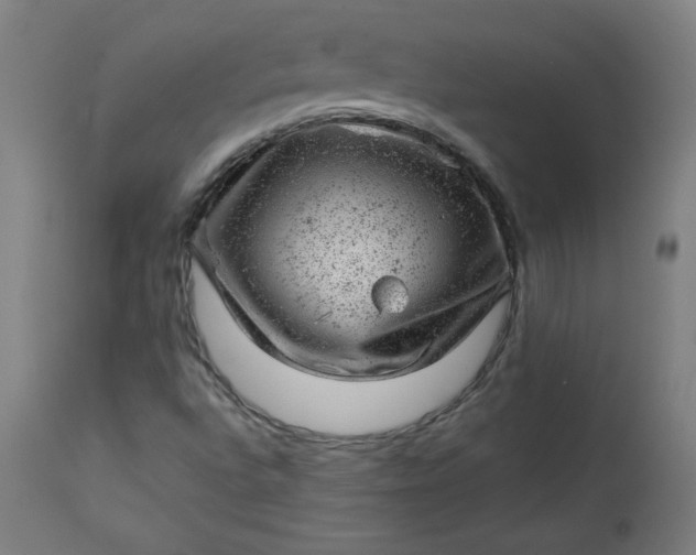 X0000112921496200909080921