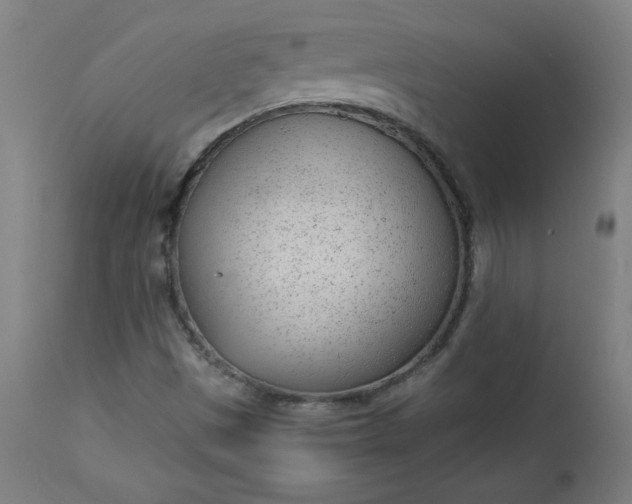 X0000112921497200909080921