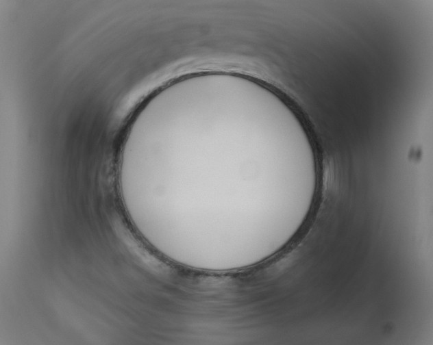 X0000112921498200909080921