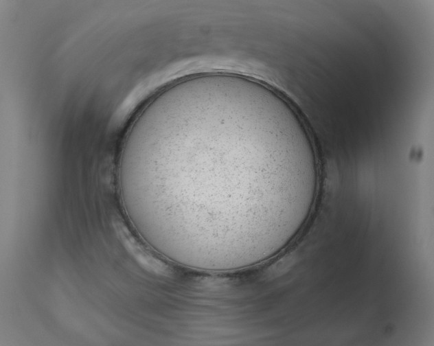 X0000112921499200909080921