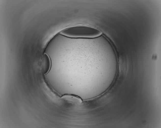 X0000112921500200909080921