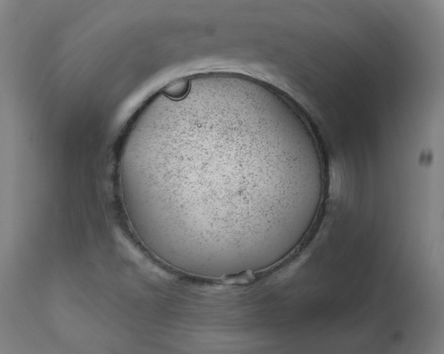 X0000112921502200909080921