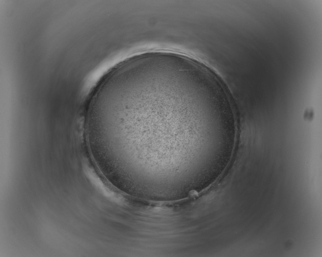 X0000112921503200909080921