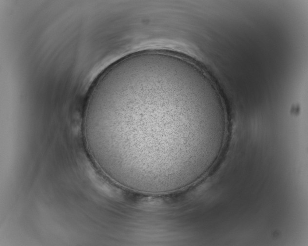 X0000112921505200909080921