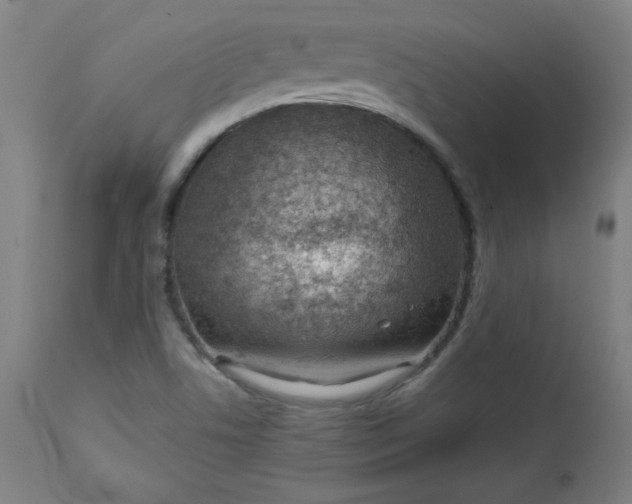 X0000112921506200909080921