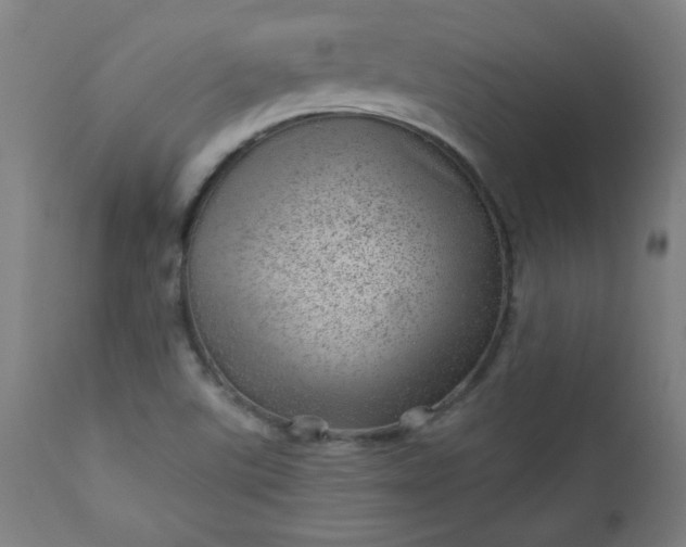 X0000112921507200909080922