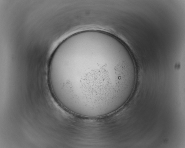 X0000112921508200909080922