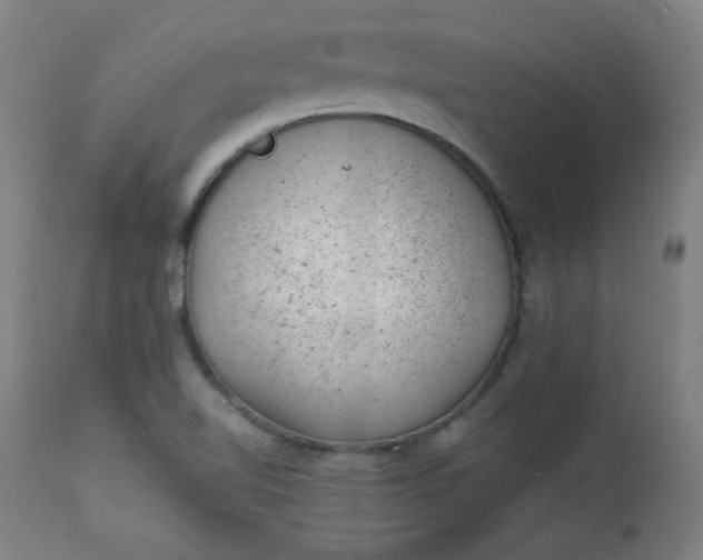 X0000112921510200909080922