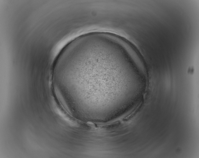 X0000112921511200909080922