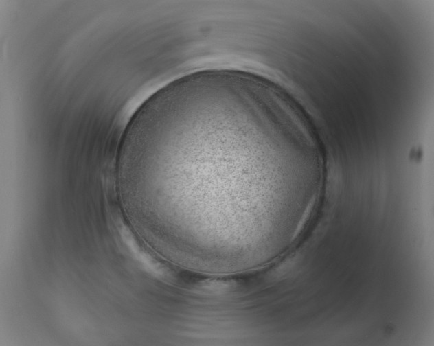 X0000112921513200909080922