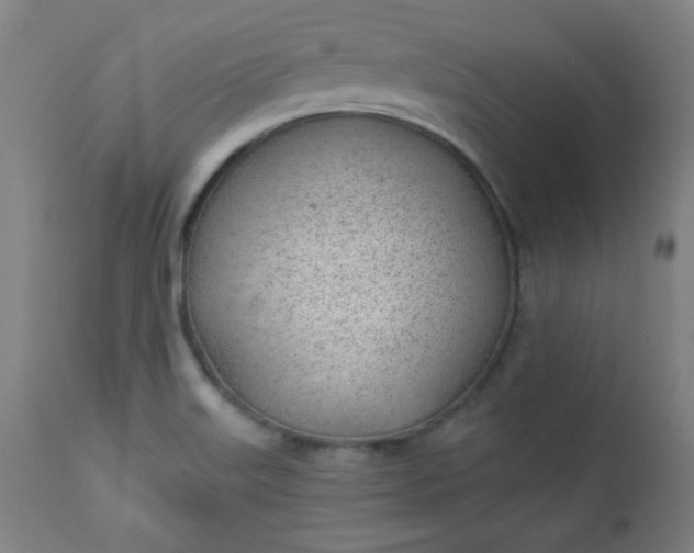 X0000112921515200909080922