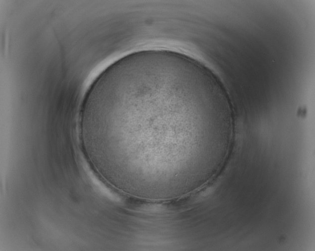 X0000112921517200909080922