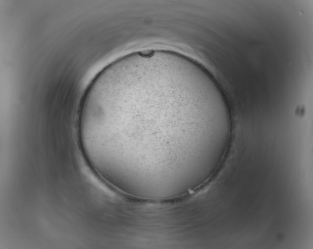 X0000112921518200909080922