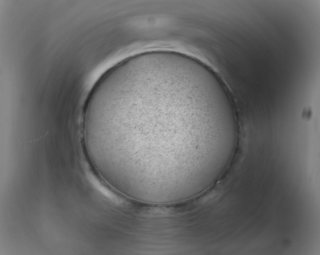 X0000112921519200909080922