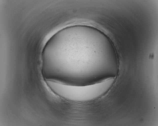 X0000112921520200909080922