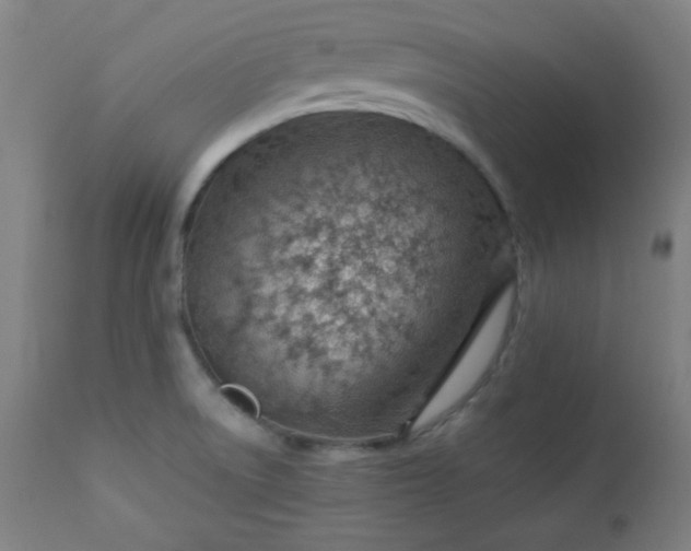 X0000112921522200909080922