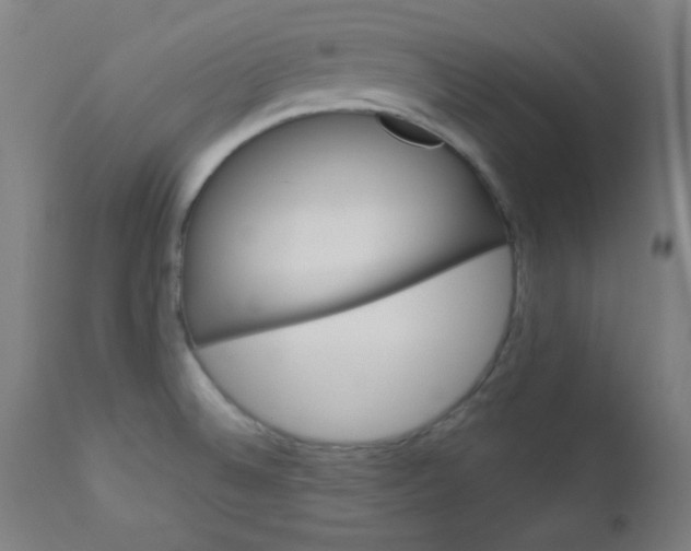 X0000112921524200909080922