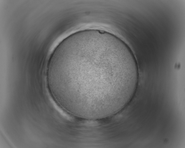 X0000112921525200909080922