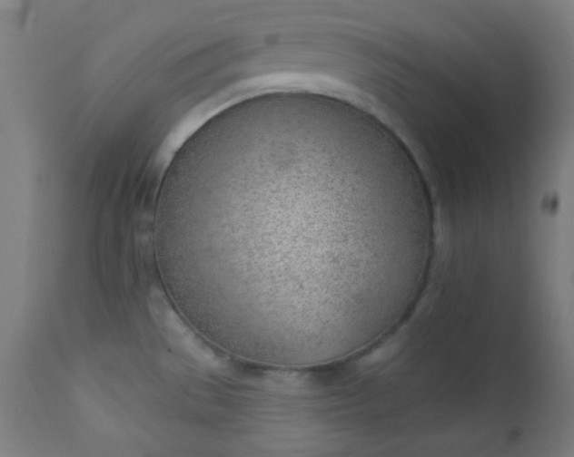 X0000112921529200909080922