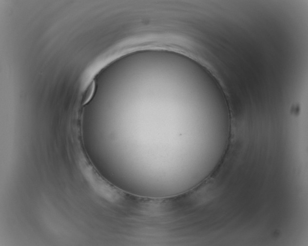 X0000112921530200909080922
