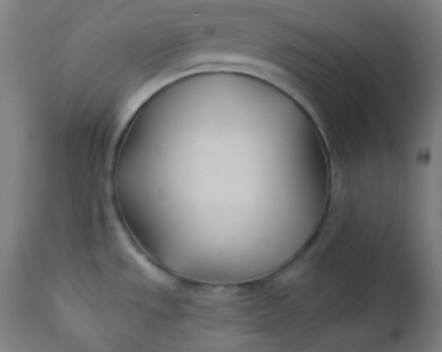 X0000112921533200909080922