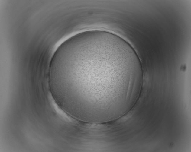 X0000112921534200909080922