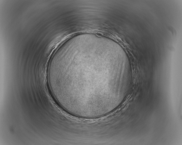 X0000112920002200909141322