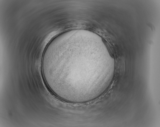 X0000112920003200909141322
