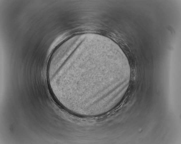 X0000112920004200909141322
