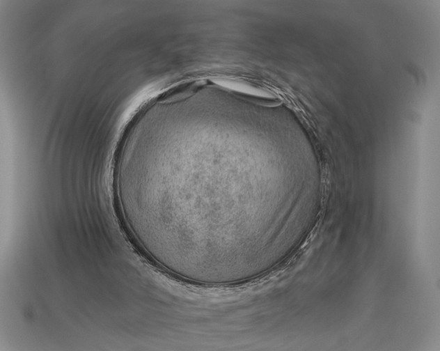 X0000112920006200909141322