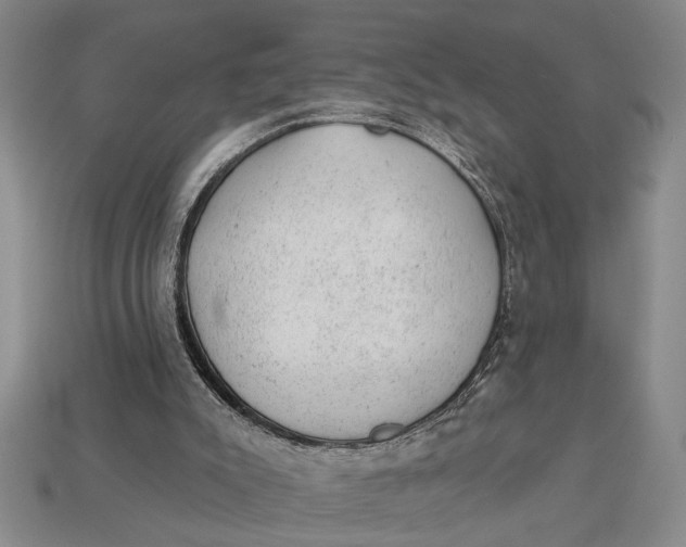 X0000112920007200909141322