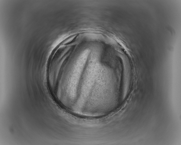 X0000112920008200909141322