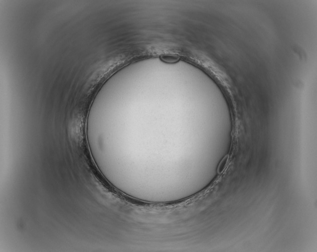 X0000112920009200909141322