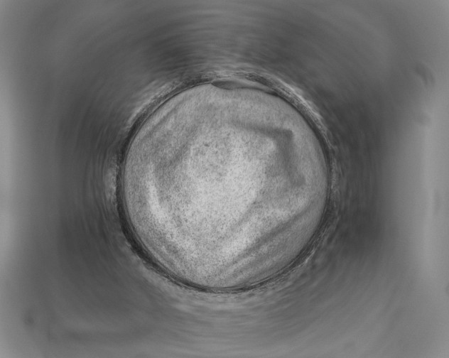 X0000112920010200909141322