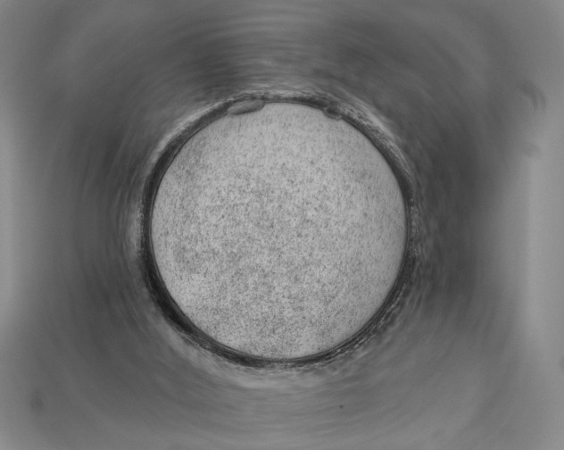 X0000112920012200909141322