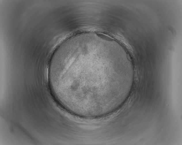 X0000112920014200909141322