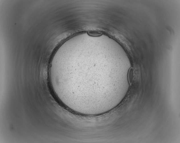 X0000112920015200909141322