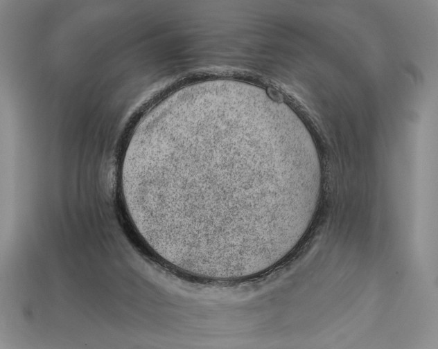 X0000112920016200909141322