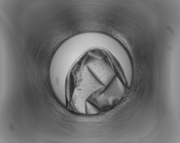 X0000112920017200909141322