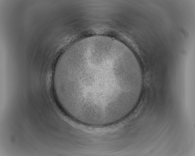 X0000112920018200909141322