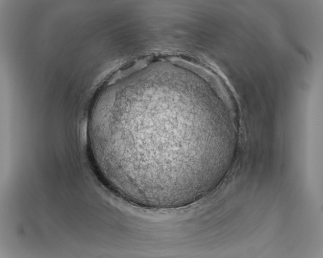 X0000112920019200909141322